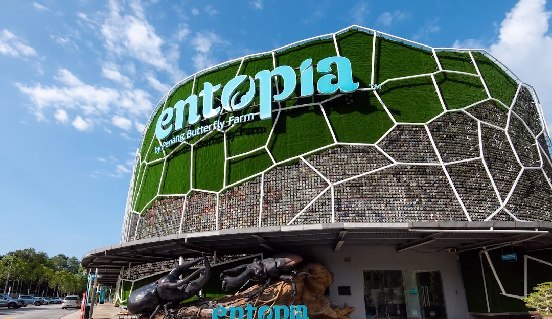 entopia-penang-butterfly-farm
