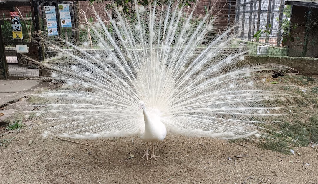 filter: 0; jpegRotation: 0; fileterIntensity: 0.000000; filterMask: 0;